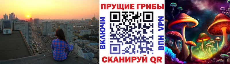 Псилоцибиновые грибы Psilocybe  Ершов 